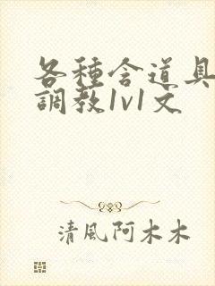 各种含道具高h调教1v1文