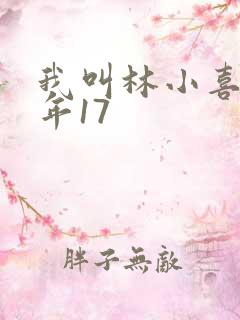 我叫林小喜 今年17