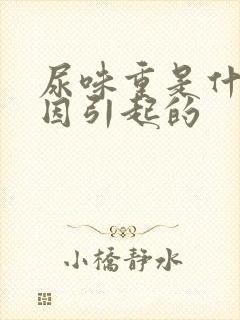 尿味重是什么原因引起的