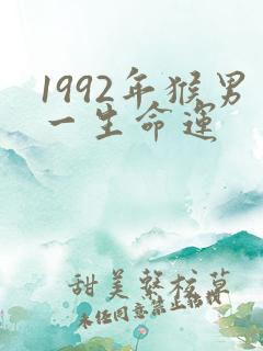 1992年猴男一生命运