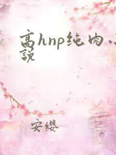 高hnp纯肉小说