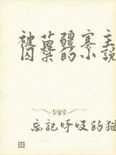 被苗疆寨主抓住囚禁的小说双男主