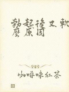 勃起后又软了什么原因