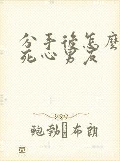 分手后怎么挽回死心男友