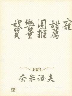 娱乐圈甜宠文高质量推荐