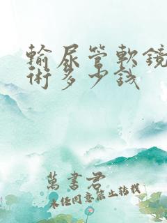 输尿管软镜取石术多少钱