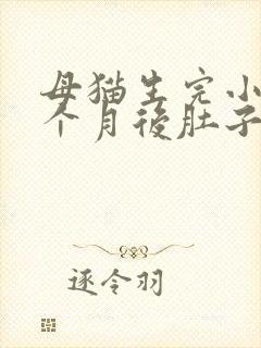 母猫生完小猫一个月后肚子硬块