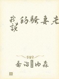 我的骚妻老婆小说