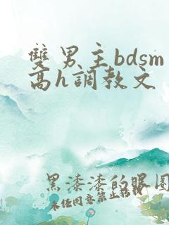双男主bdsm高h调教文