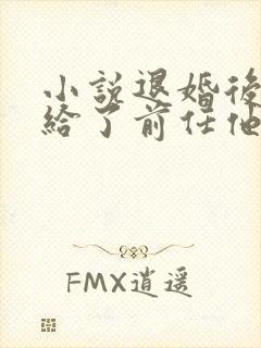 小说退婚后我嫁给了前任他叔