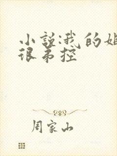 小说:我的姐姐很弟控