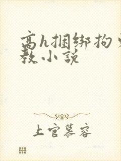 高h捆绑拘束调教小说