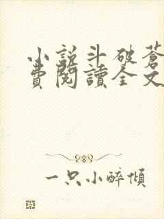 小说斗破苍穹免费阅读全文无窗口