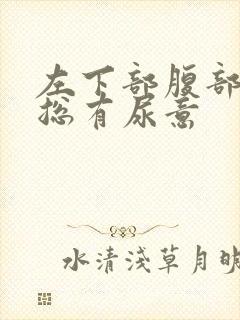 左下部腹部疼痛总有尿意