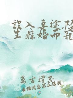 误入妻途,陆先生瘾婚而宠