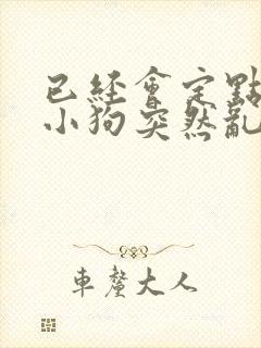 已经会定点尿的小狗突然乱尿