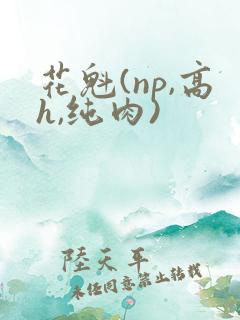 花魁(np,高h,纯肉)