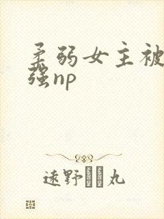 柔弱女主被多男强np