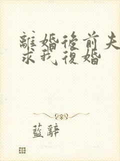 离婚后前夫哭着求我复婚