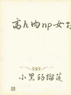 高h肉np女攻