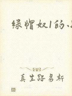 绿帽奴1的小说
