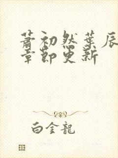 萧初然叶辰最新章节更新