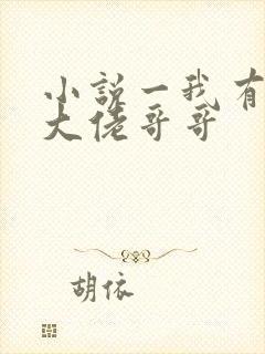 小说一我有七个大佬哥哥