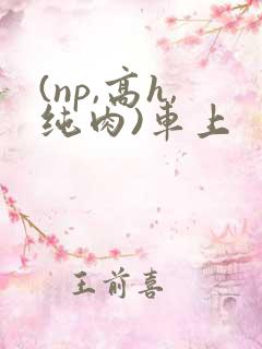 (np,高h,纯肉)车上
