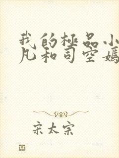 我的极品小姨叶凡和司空嫣的小说