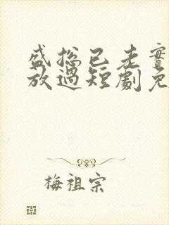 盛总已老实夫求放过短剧免费观看全集