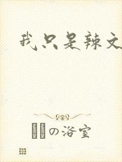 我只是辣文女主