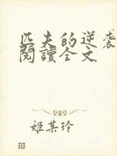 匹夫的逆袭免费阅读全文