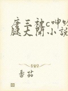 唐三被c呻吟双腿大开小说