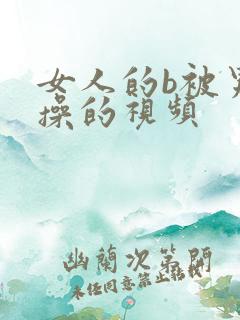 女人的b被男人操的视频