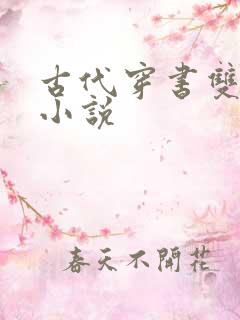 古代穿书双男主小说