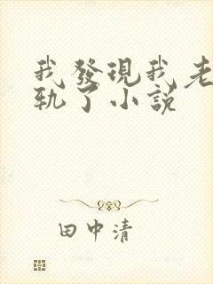 我发现我老婆出轨了小说