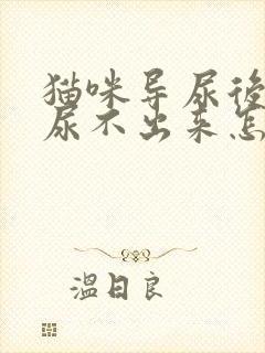 猫咪导尿后还是尿不出来怎么办