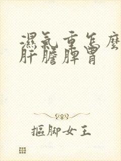 湿气重怎么调理肝胆脾胃