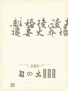 ,离婚后,渣夫追妻火葬场了