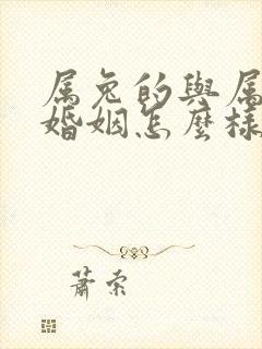 属兔的与属马的婚姻怎么样