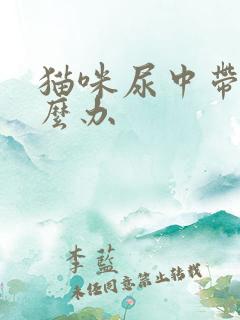 猫咪尿中带血怎么办