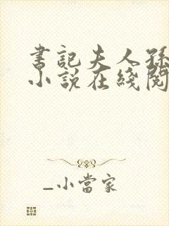 书记夫人孙淑琴小说在线阅读