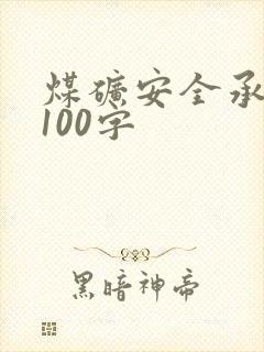煤矿安全承诺书100字