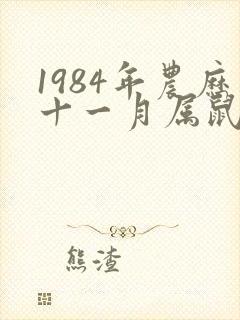 1984年农历十一月属鼠女命运