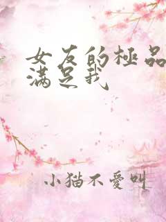 女友的极品闺蜜满足我