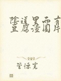 阴道里面有白色豆腐渣图片