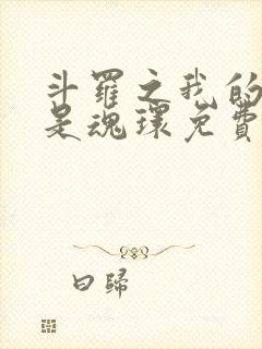 斗罗之我的武魂是魂环免费阅读全