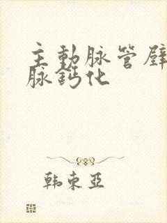 主动脉管壁及冠脉钙化