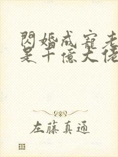 闪婚成宠老公竟是千亿大佬完整版