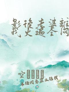 影后老婆离婚后我火遍全网